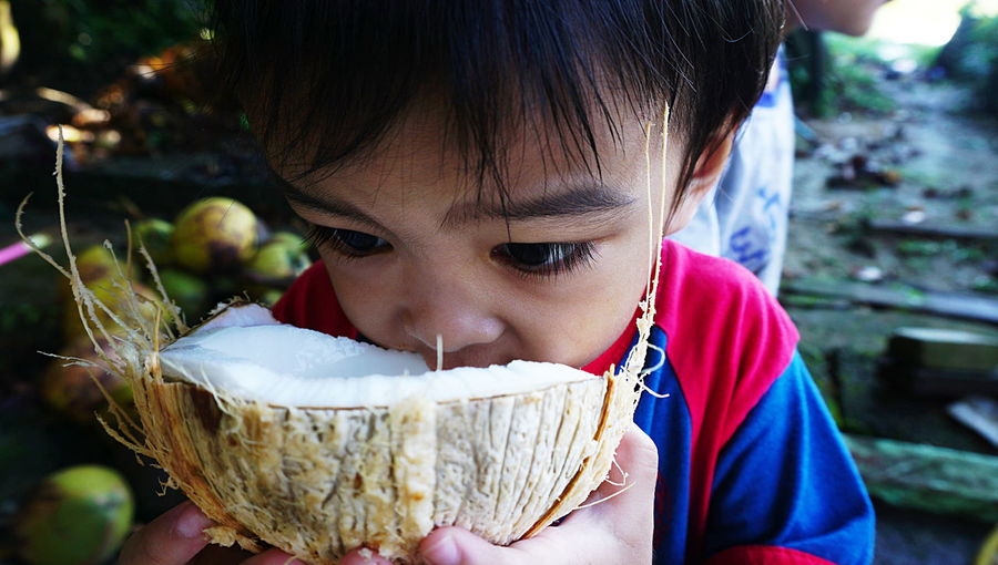 Close-up of boy eating coconut