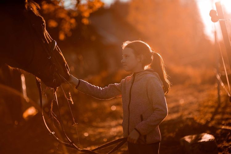 Side view of girl stroking horse while standing in barn during sunset