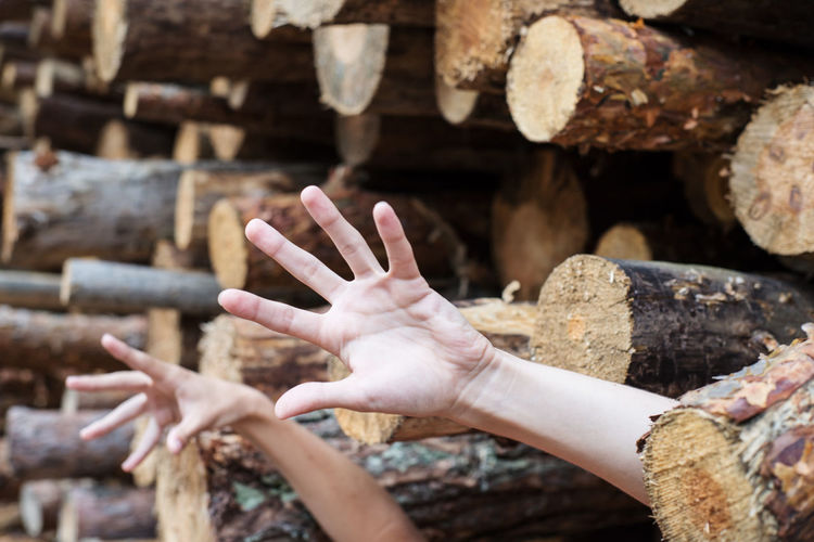Cropped hands of children gesturing amidst logs