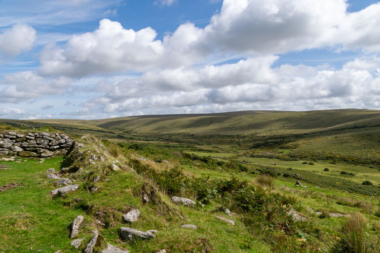 Landscape of dartmoor national park in late summer