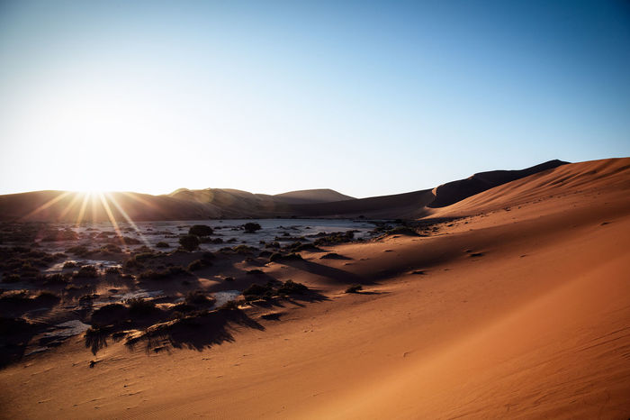 Scenic view of sand dune namib desert