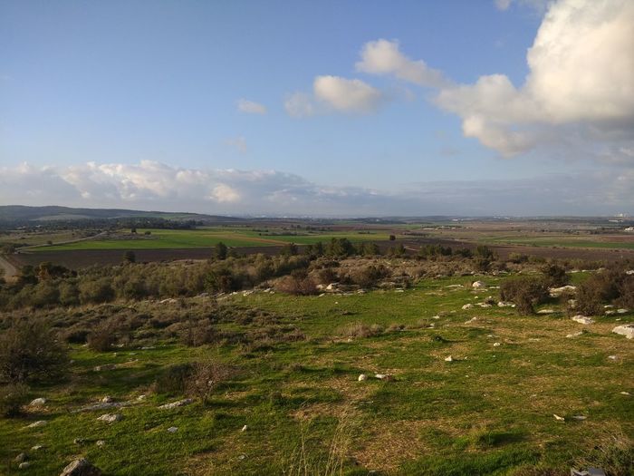 Scenic view of land against sky