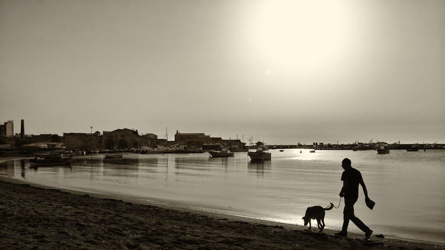 Silhouette man walking with dog at sea shore against clear sky