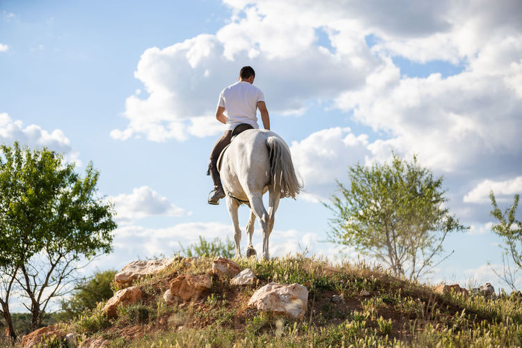 Man riding horse on field against sky
