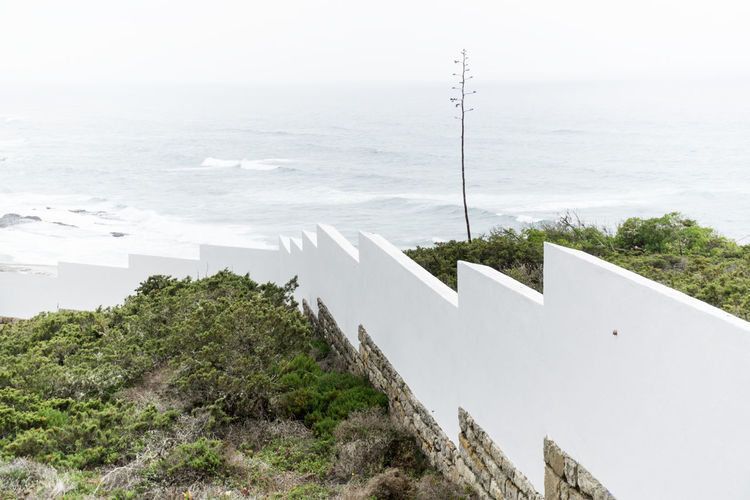 High angle view of plants by sea against sky