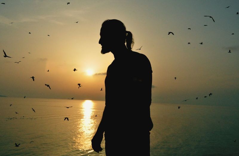 Silhouette man standing with flock of birds flying over sea against sky during sunset