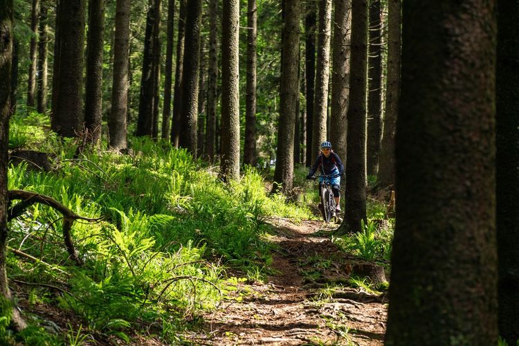 Young woman riding a mountain bike on footpath in the forest. salzburg, austria.