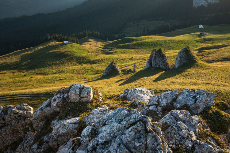 Alpine views from fagaras mountains, romania. summer carpathian landscapes.