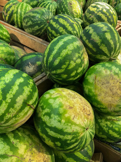 Watermelon on the market