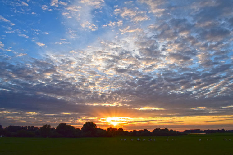 Scenic view of field against sky during sunset