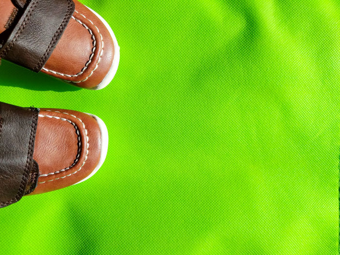 Vintage leather shoes against green background