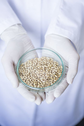 Scientist in lab holding grain sample in petri dish
