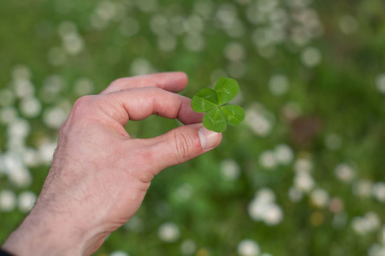 Cropped hand of man holding four leaf clover on field