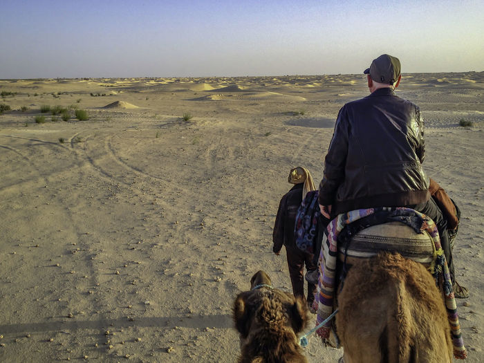 Rear view of person on dromedary in the sahara against sky