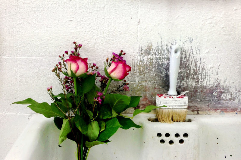 Close-up of flowers in vase
