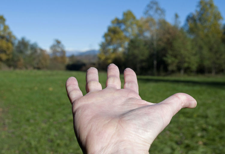 Close-up of person hand against plants