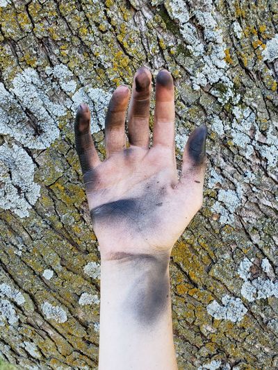 Close-up of cropped dirty hand against tree trunk with lichens