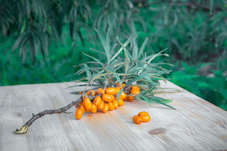 A seabuckthorn branch on a table on greeen background