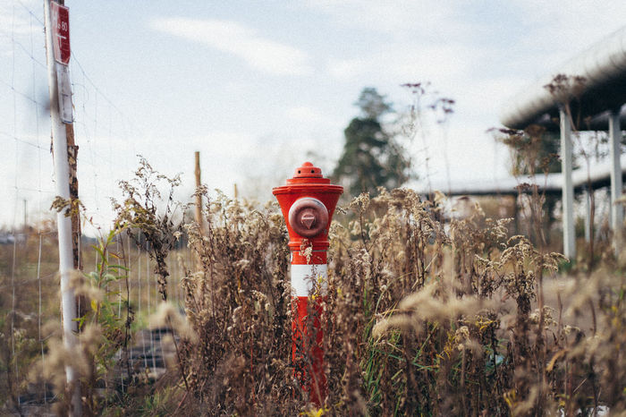 RED FIRE HYDRANT ON FIELD