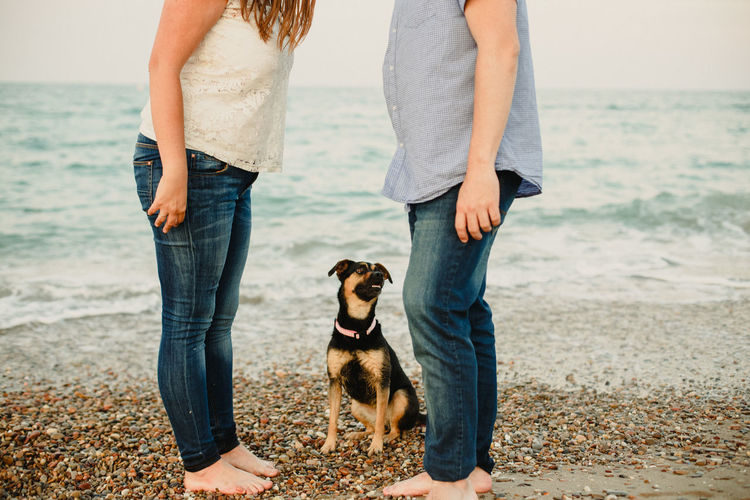 Midsection of woman with dog on beach