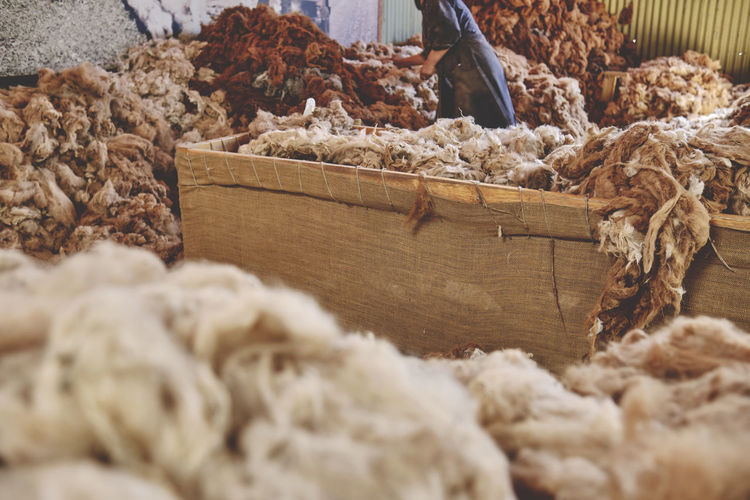 Woman worker sorting brown fibers in an alpaca wool production in peru, selective focus.