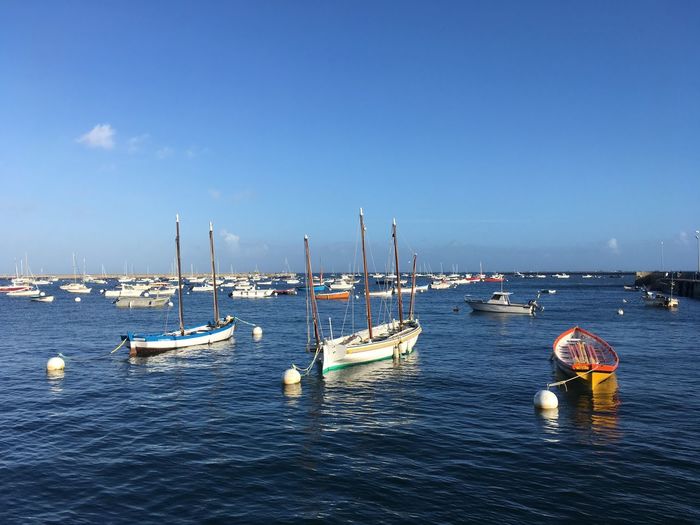 Sailboats on river