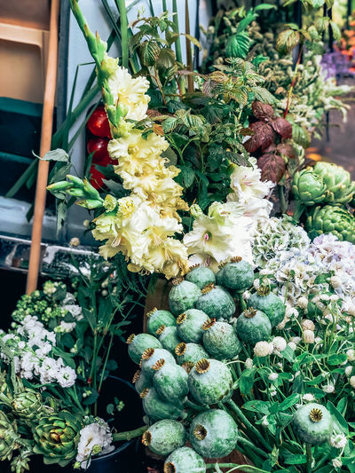 Flowers growing in market