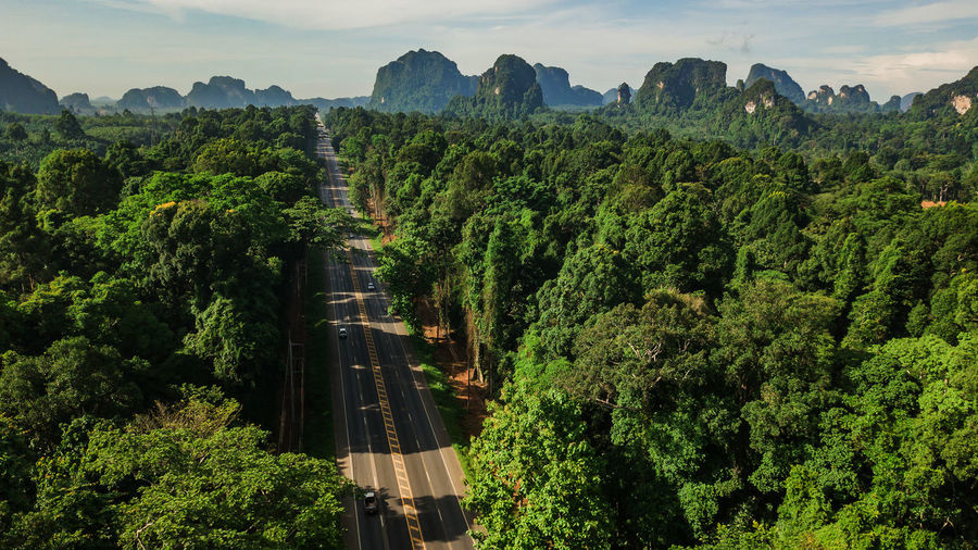 High angle view of plants growing on road against sky