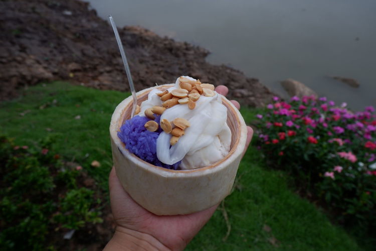 Young coconut ice cream in a cup made from coconut shells.