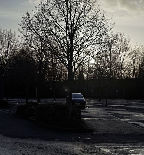 Cars on road by bare trees against sky in city