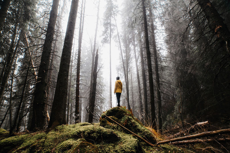 Young girl looking at the foggy forest and sitting on a rock