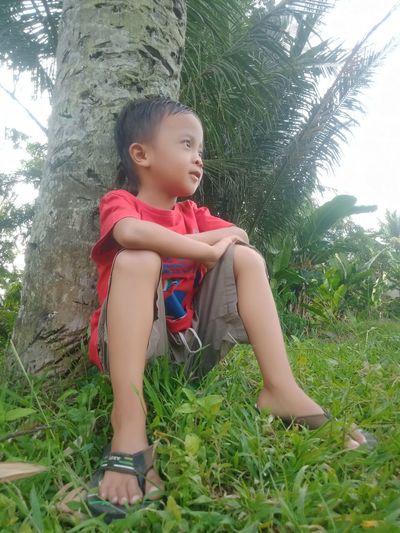 plant