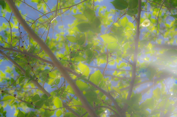 Sunday McCollum | EyeEm - 700 x 464 jpeg 66kB