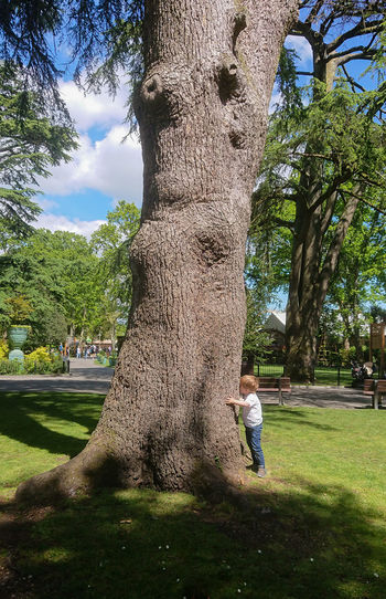 Full length of man climbing on tree trunk in park