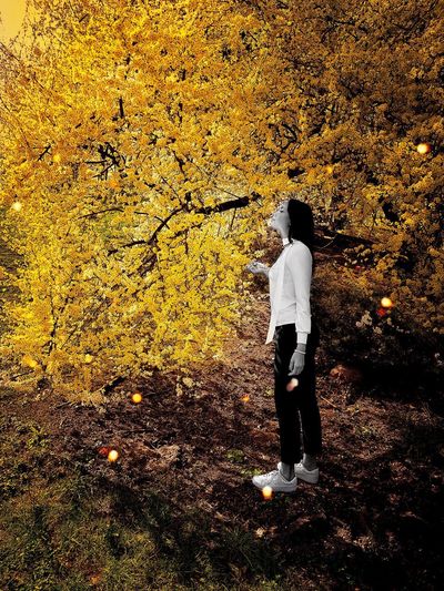 Rear view of person standing on yellow autumn leaves