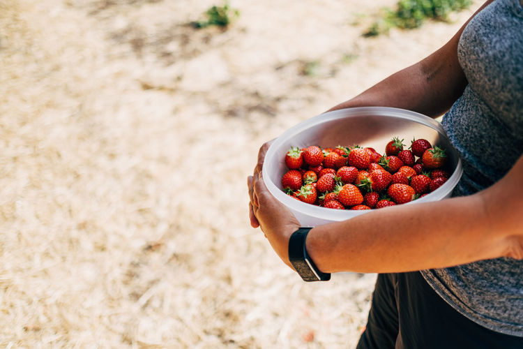 Midsection of woman holding strawberries on field