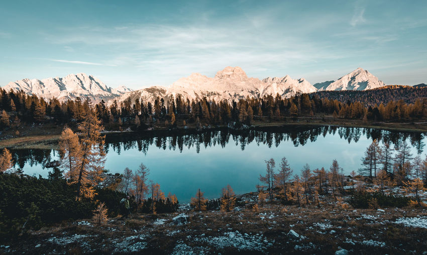 Scenic view of lake by trees against sky