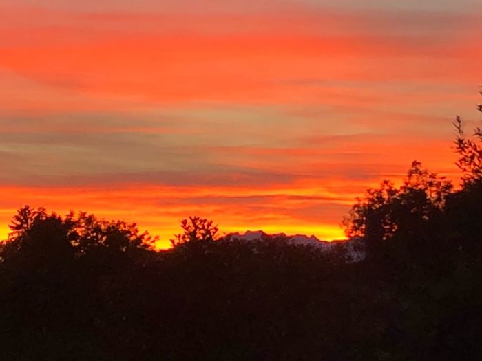 Silhouette trees against dramatic sky during sunset