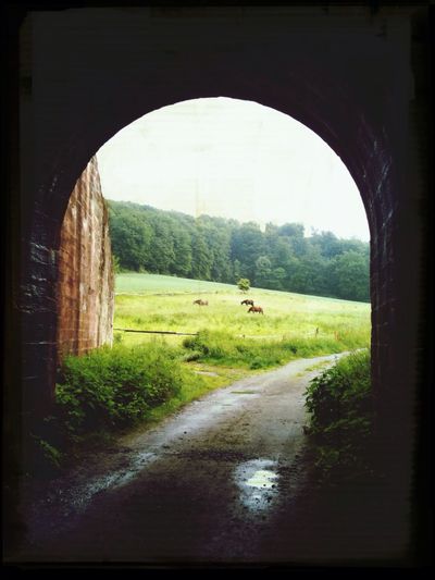 View of field seen through arch window