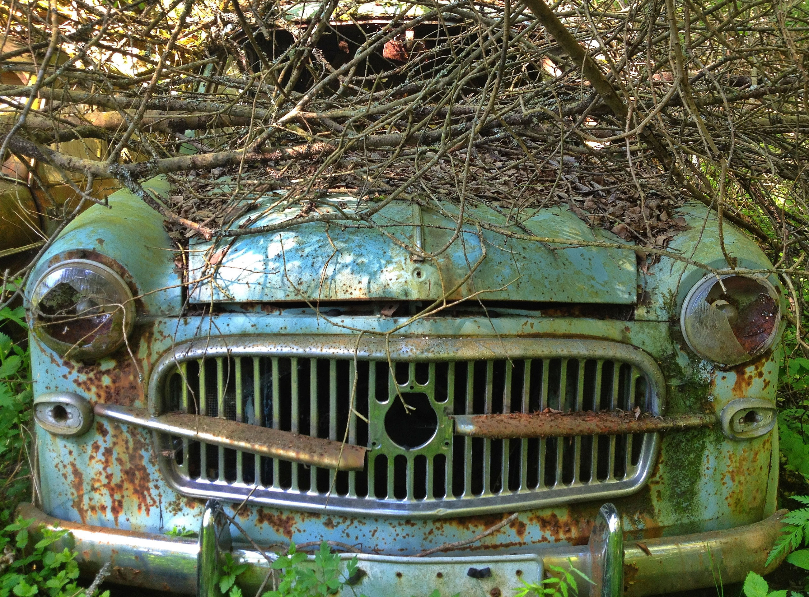 old, abandoned, obsolete, rusty, run-down, metal, land vehicle, tree, damaged, old-fashioned, deterioration, transportation, mode of transport, car, weathered, day, retro styled, no people, outdoors, built structure