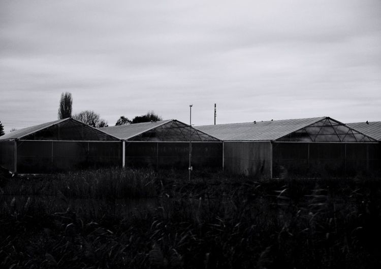 Houses in farm against sky