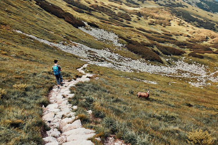 Young man with backpack hiking in a mountains, actively spending summer vacation