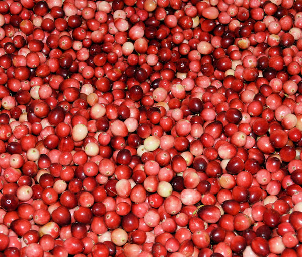 Full frame shot of cranberries