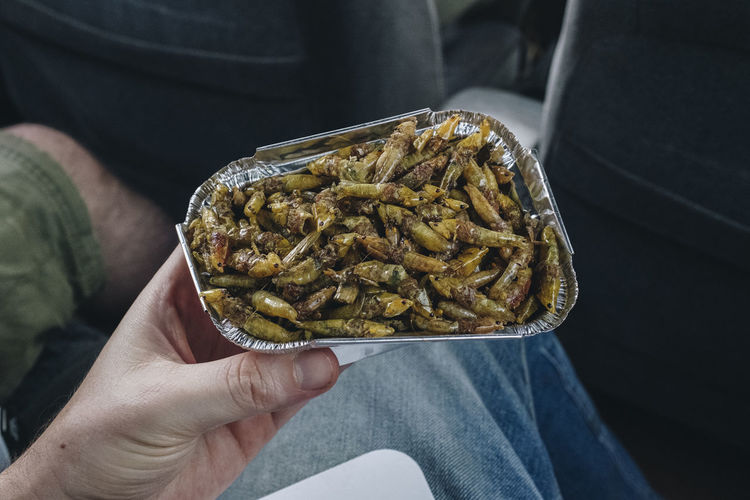 Close-up of hand holding fried grasshoppers