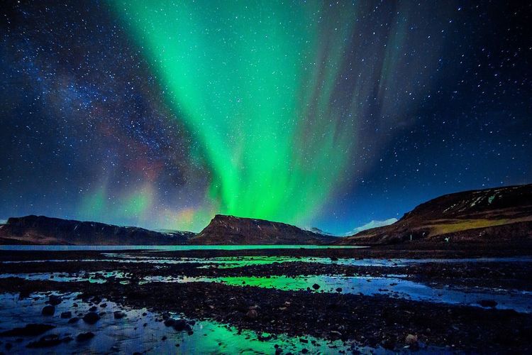 SCENIC VIEW OF STARRY SKY