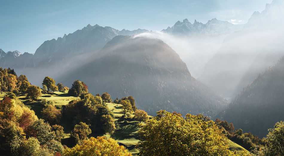 Scenic view of trees in fall and mountains in mist against sky