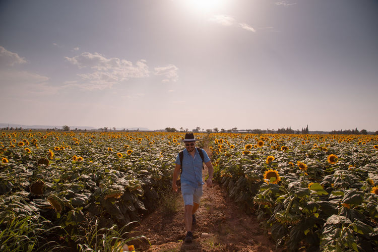 Person standing on land against sky