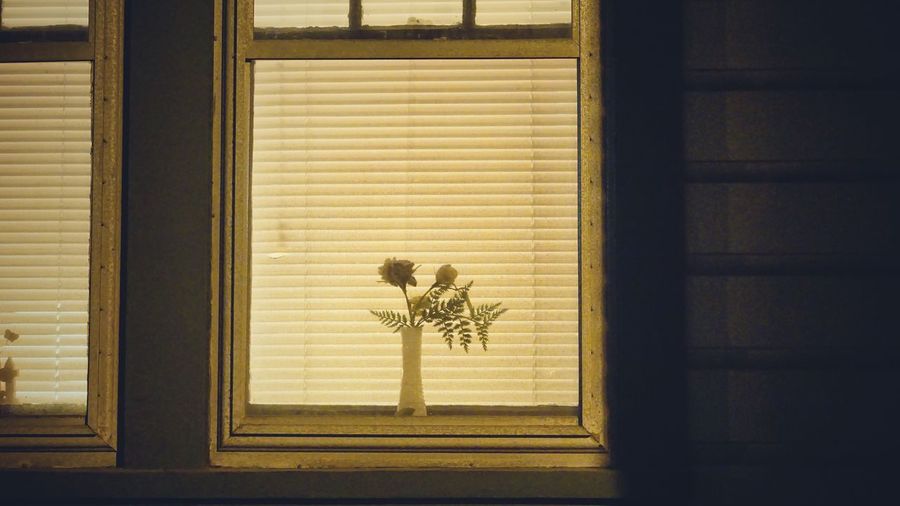 View of flowers seen in window