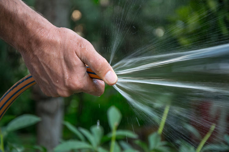 Cropped hand spraying water from hose