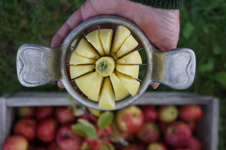 Cropped hand holding apple in cutter at farm